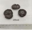 Click for 1 image(s) for this accession. FRUIT